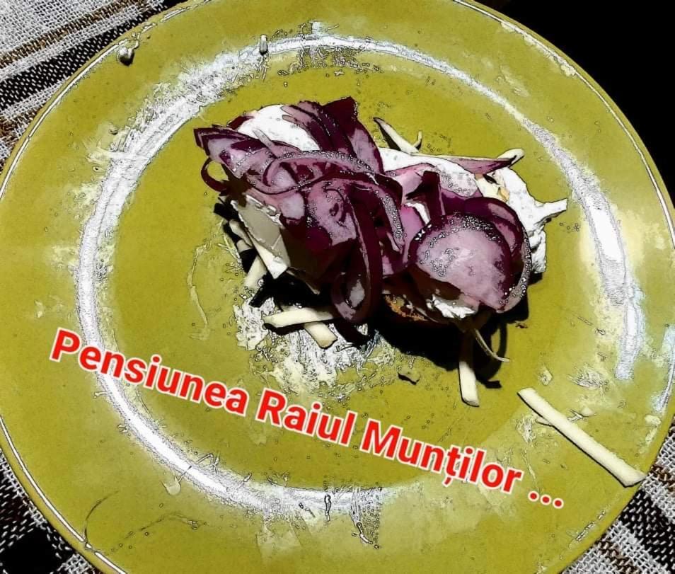 Pensiunea Raiul Muntilor Sebiş Buitenkant foto