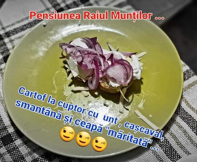 Pensiunea Raiul Muntilor Sebiş Buitenkant foto