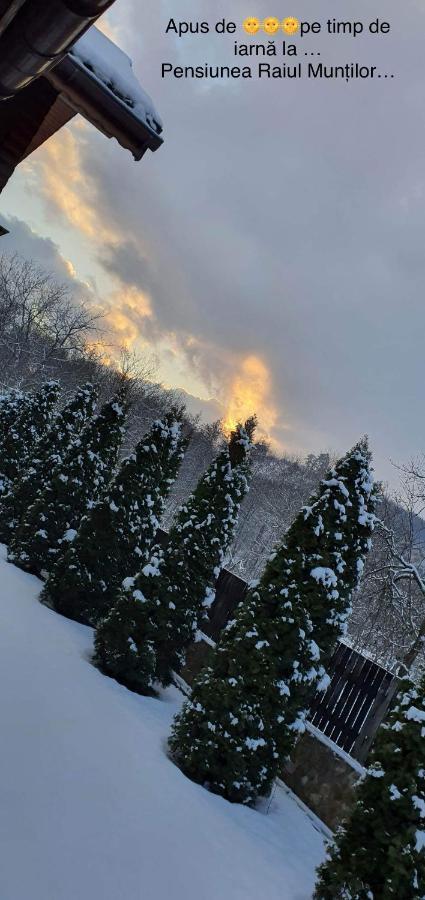 Pensiunea Raiul Muntilor Sebiş Buitenkant foto