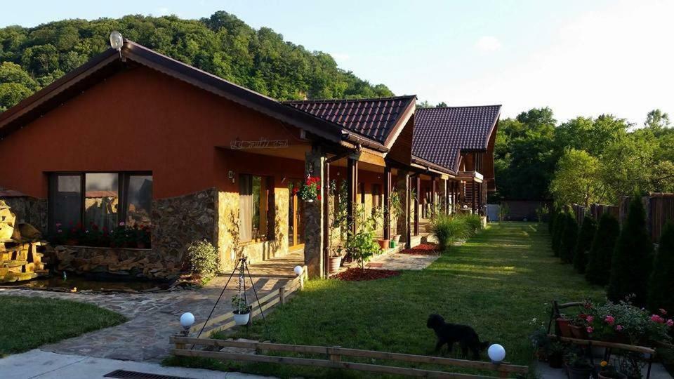 Pensiunea Raiul Muntilor Sebiş Buitenkant foto