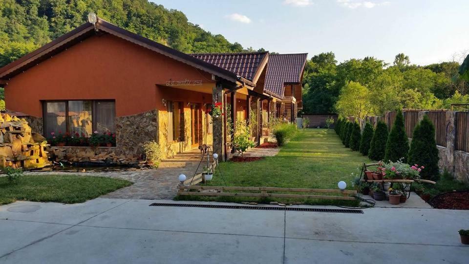 Pensiunea Raiul Muntilor Sebiş Buitenkant foto
