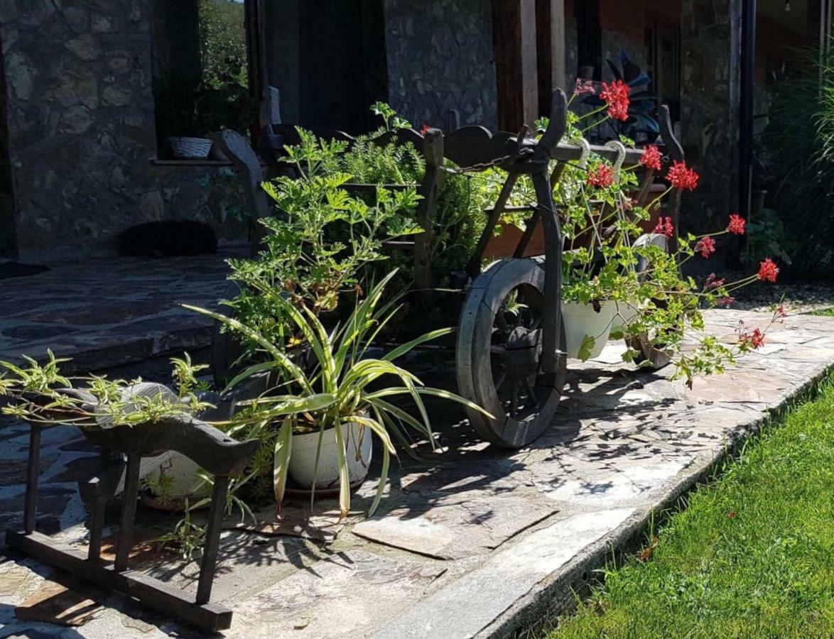 Pensiunea Raiul Muntilor Sebiş Buitenkant foto